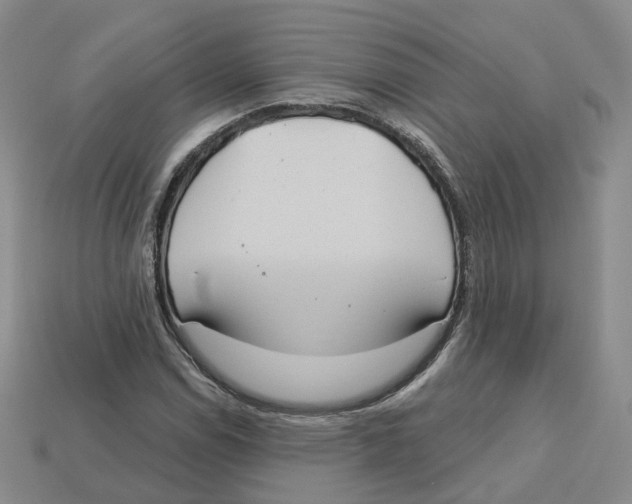 X0000113181114200910021537