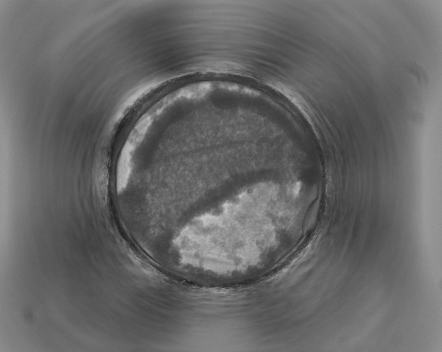 X0000113181115200910021537