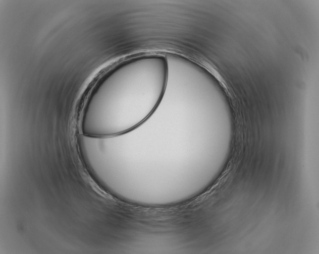 X0000113181116200910021537