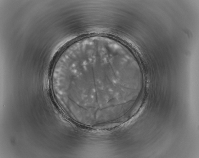 X0000113181117200910021537