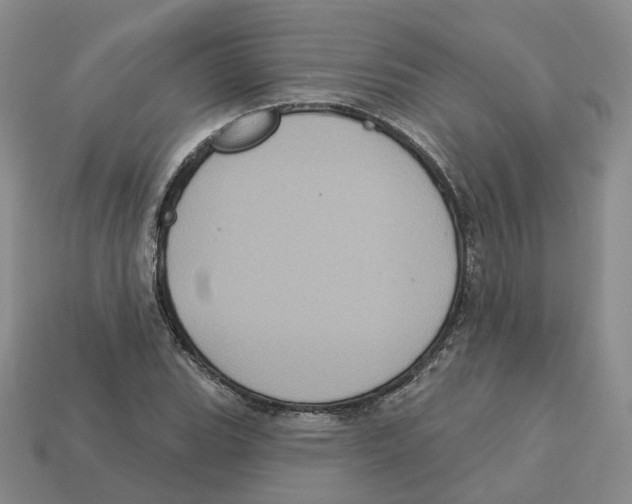 X0000113181119200910021537