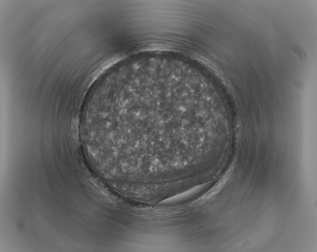 X0000113181121200910021537