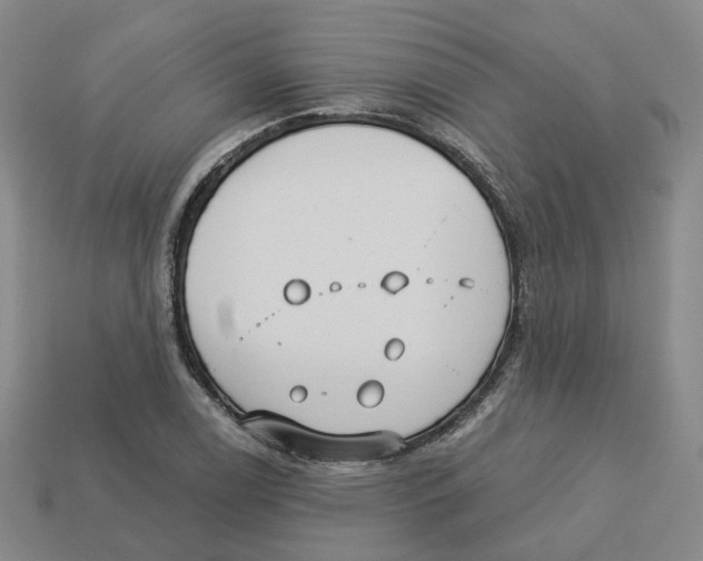 X0000113181122200910021537