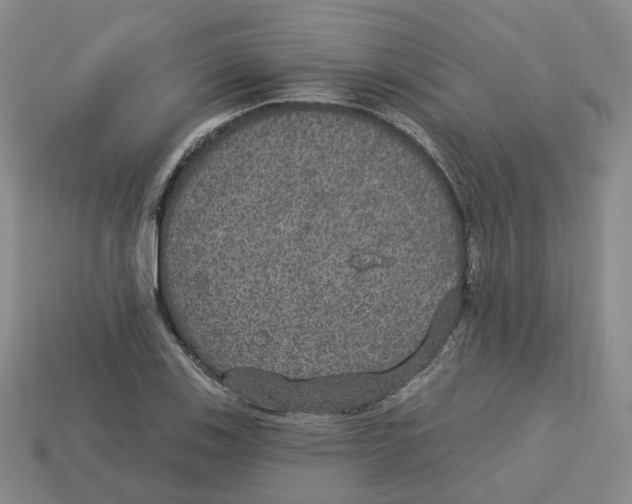 X0000113181123200910021537