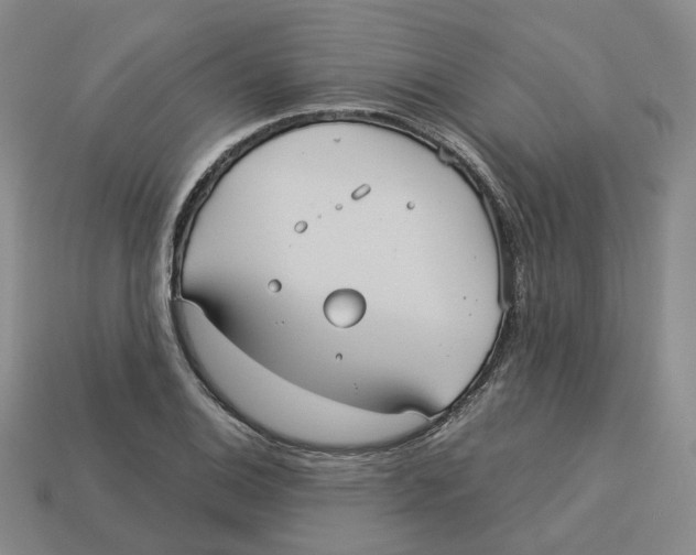 X0000113181124200910021537