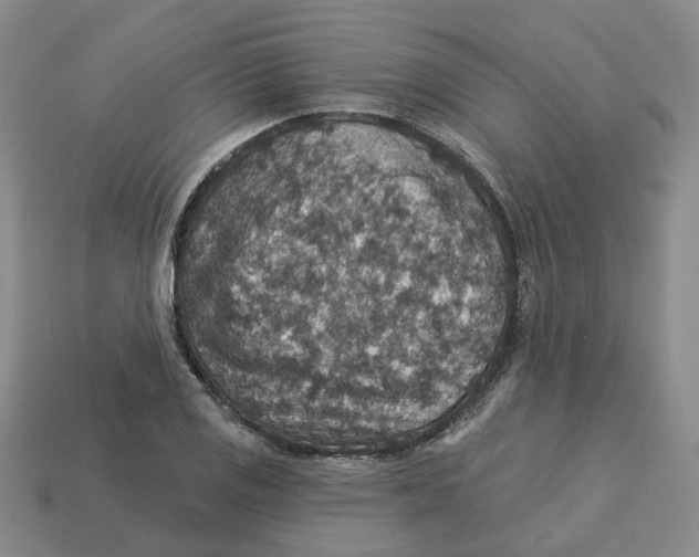 X0000113181125200910021537