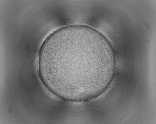X0000113181126200910021537
