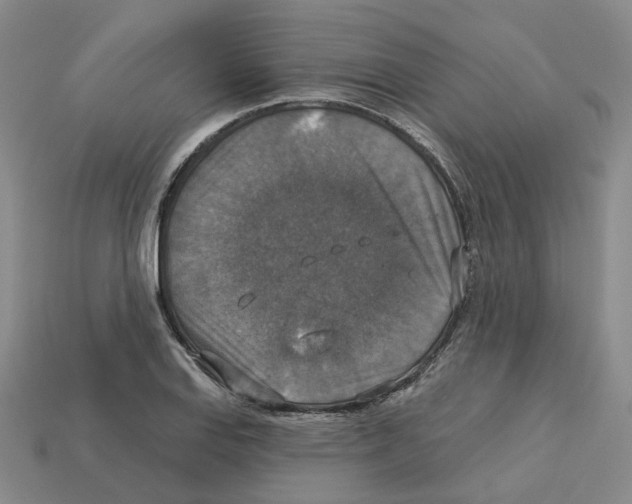 X0000113181127200910021537