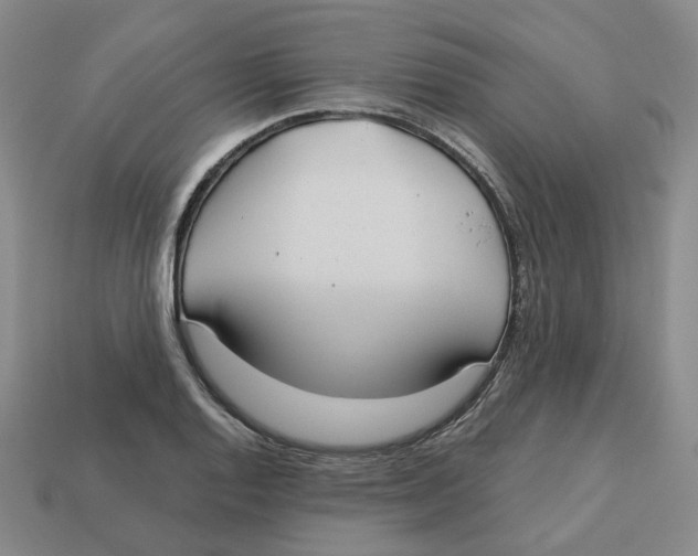 X0000113181128200910021537