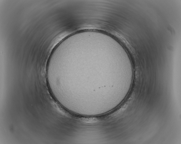 X0000113181129200910021538