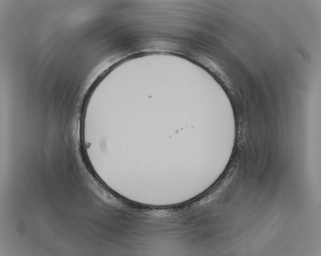 X0000113181130200910021538