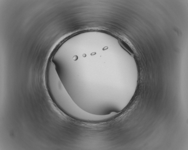 X0000113181132200910021538