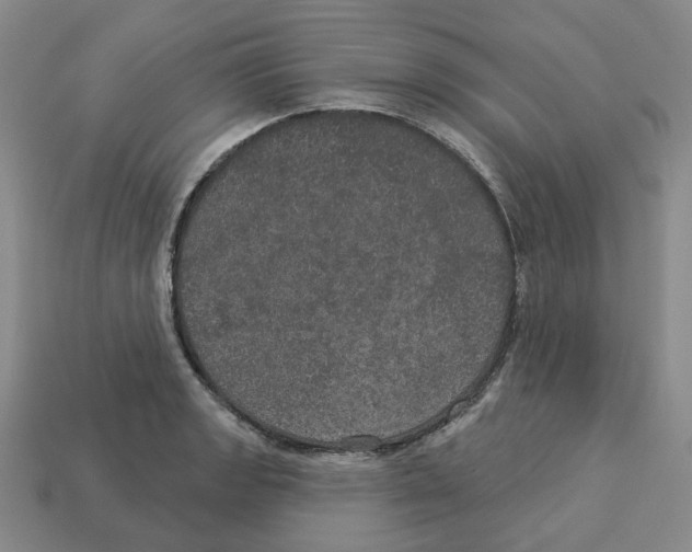 X0000113181133200910021538