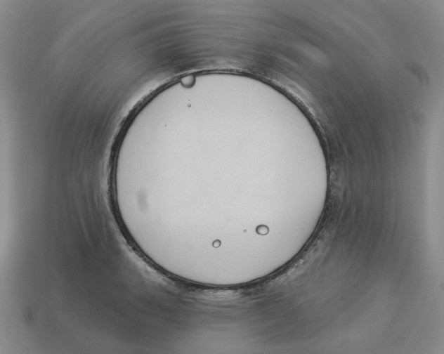X0000113181135200910021538