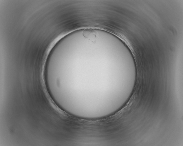 X0000113181136200910021538