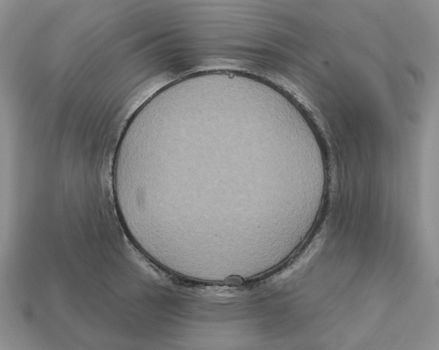 X0000113181137200910021538