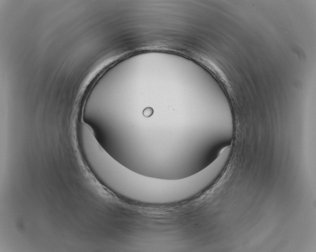 X0000113181138200910021538