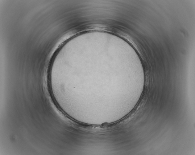 X0000113181139200910021538