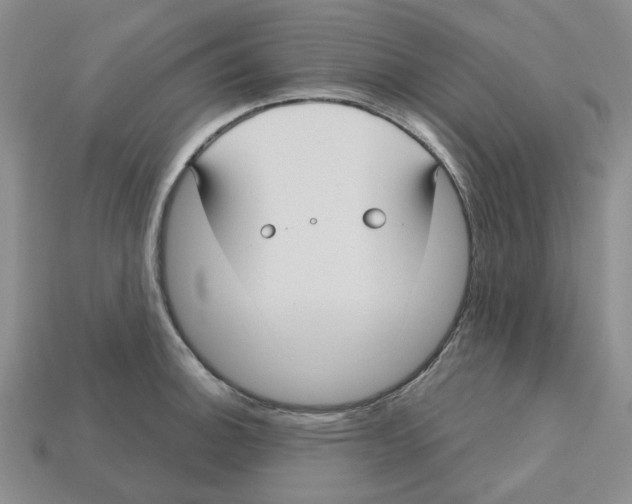 X0000113181140200910021538