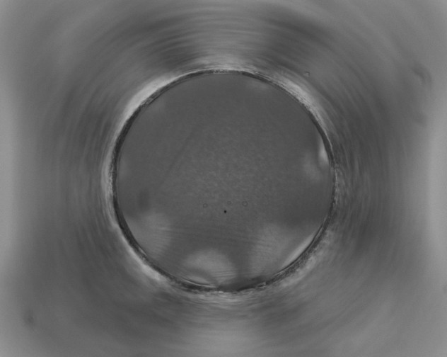 X0000113181141200910021538