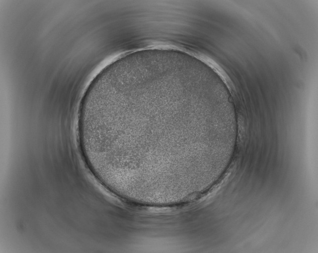 X0000113181142200910021538