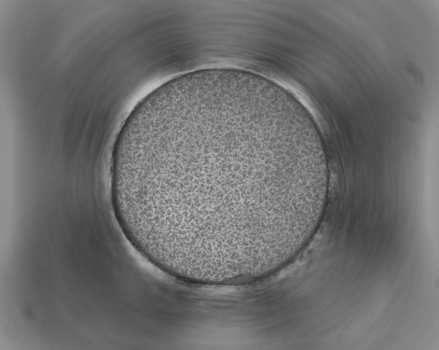 X0000113181143200910021538