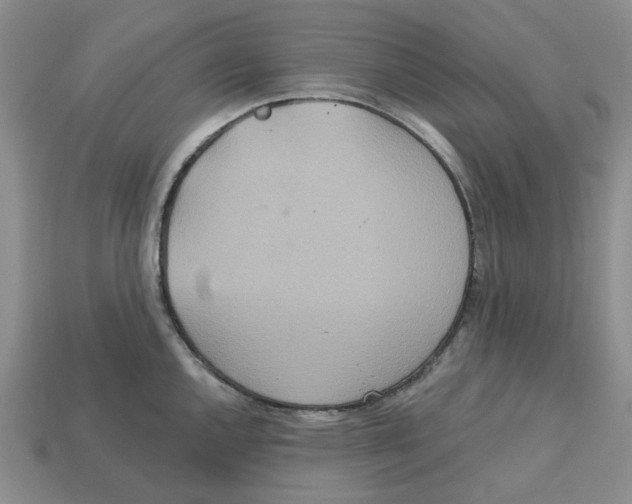 X0000113181144200910021538