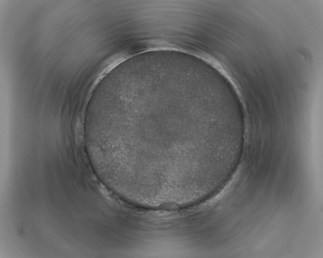 X0000113181145200910021538