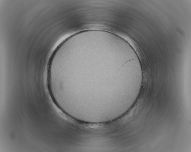 X0000113181147200910021538