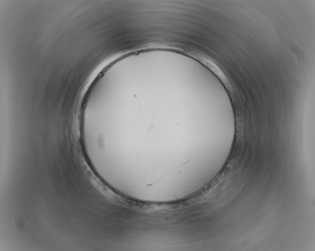 X0000113181148200910021538