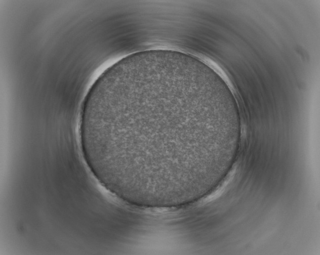 X0000113181149200910021538