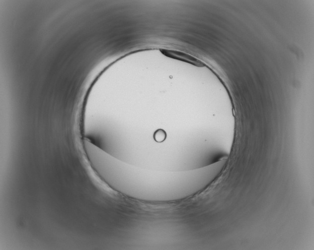 X0000113181152200910021538