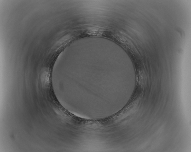 X0000113181154200910021537