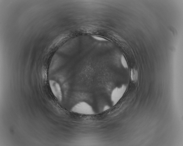 X0000113181155200910021537
