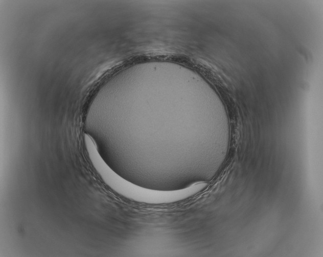 X0000113181157200910021537