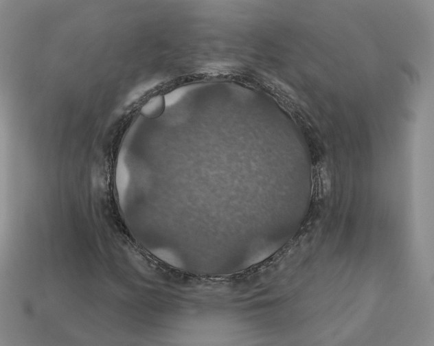 X0000113181158200910021537