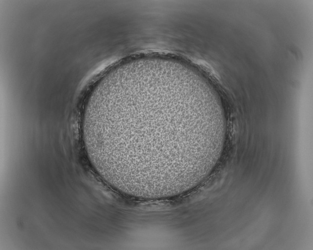 X0000113181159200910021537