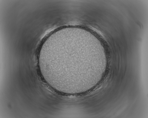 X0000113181160200910021537