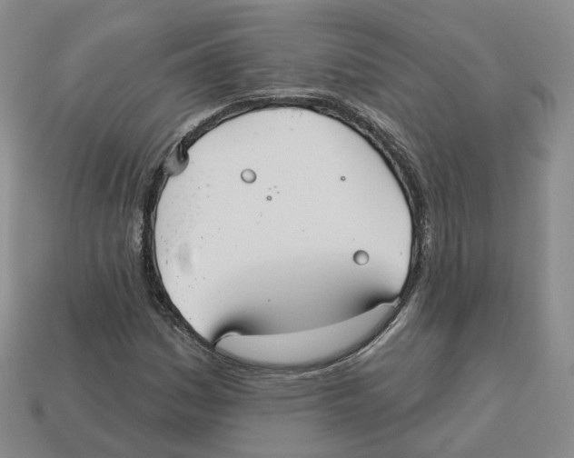 X0000113181161200910021537