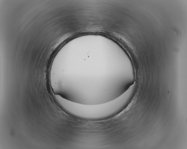 X0000113181162200910021537
