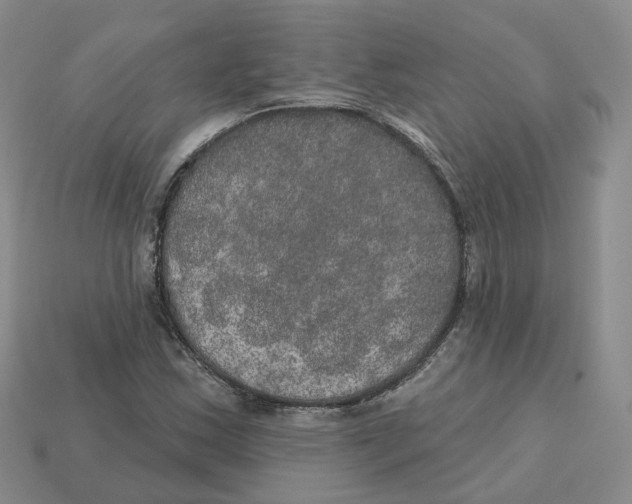 X0000113181163200910021537