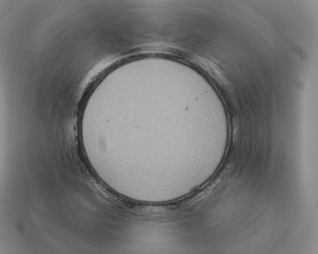 X0000113181164200910021537