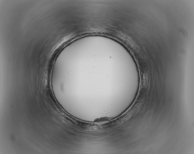 X0000113181165200910021537