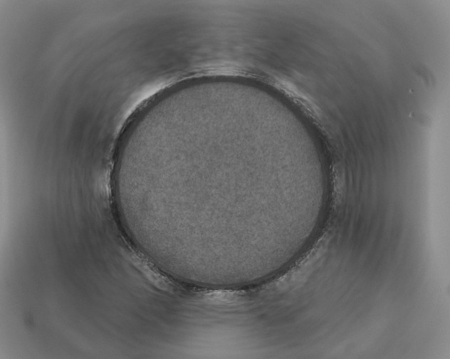 X0000113181166200910021537
