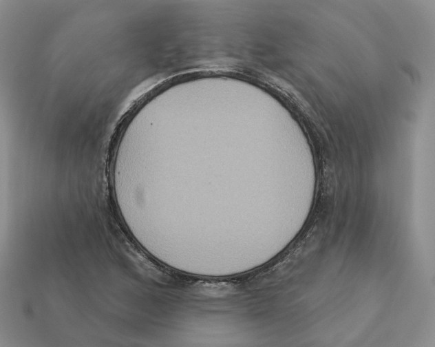 X0000113181168200910021537