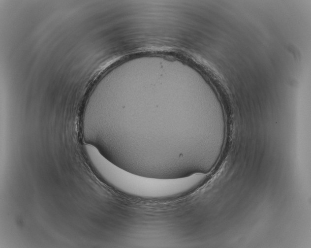 X0000113181169200910021537