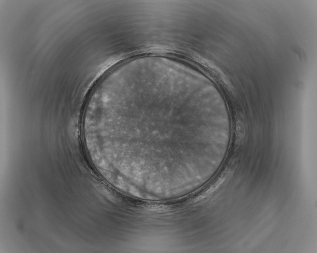 X0000113181170200910021537