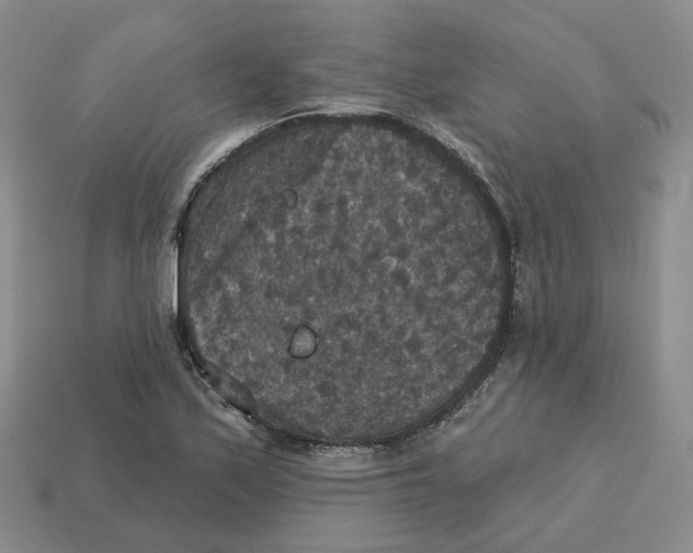 X0000113181171200910021537