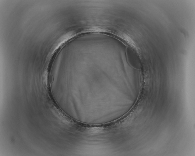 X0000113181173200910021537