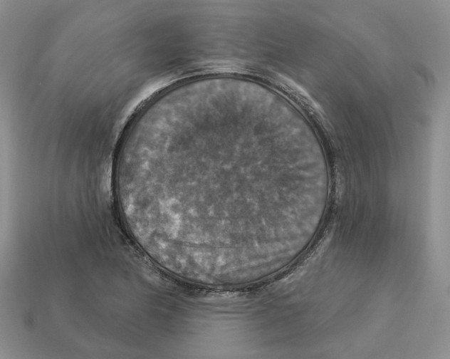 X0000113181174200910021537